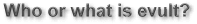 Evult Engineering & Consulting; Unternehmensberatung & Ingenieurbro
